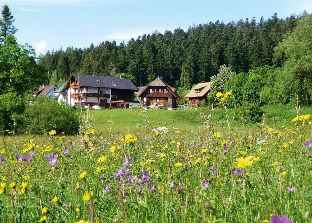 Landhaus Anja Freudenstadt Kültér fotó